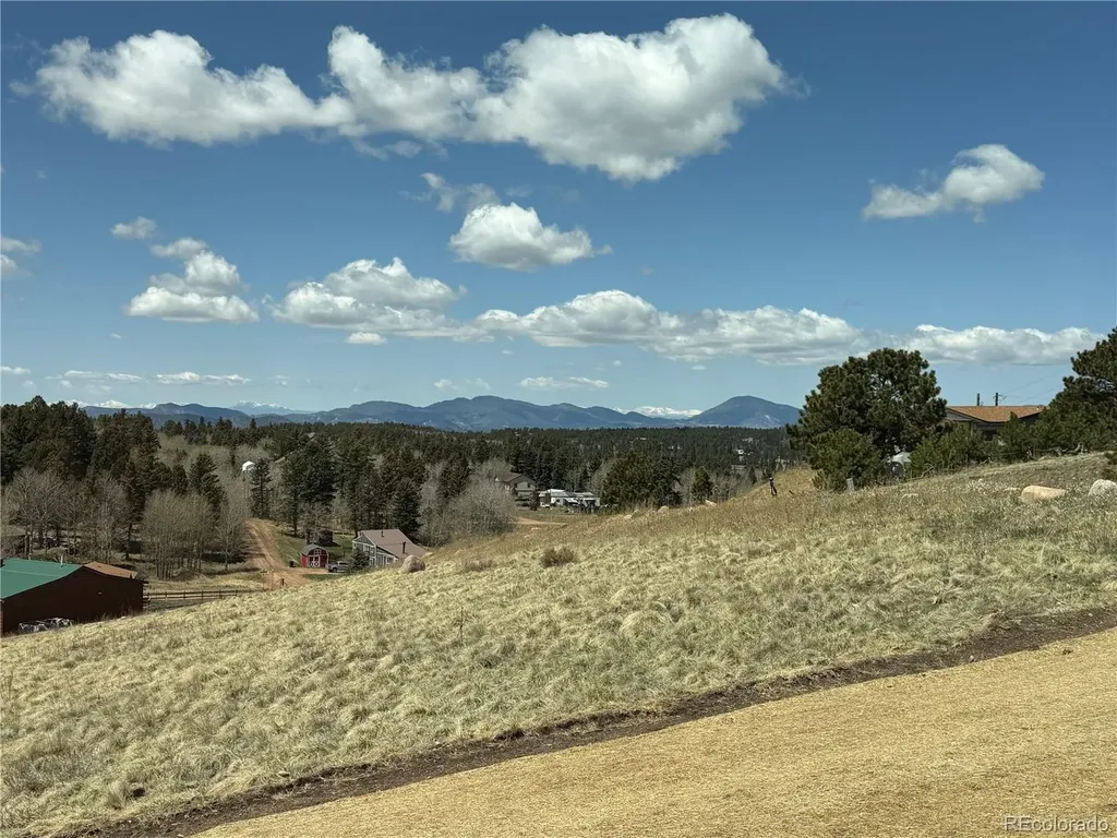 538 Friar Tuck Drive Divide CO 80814
