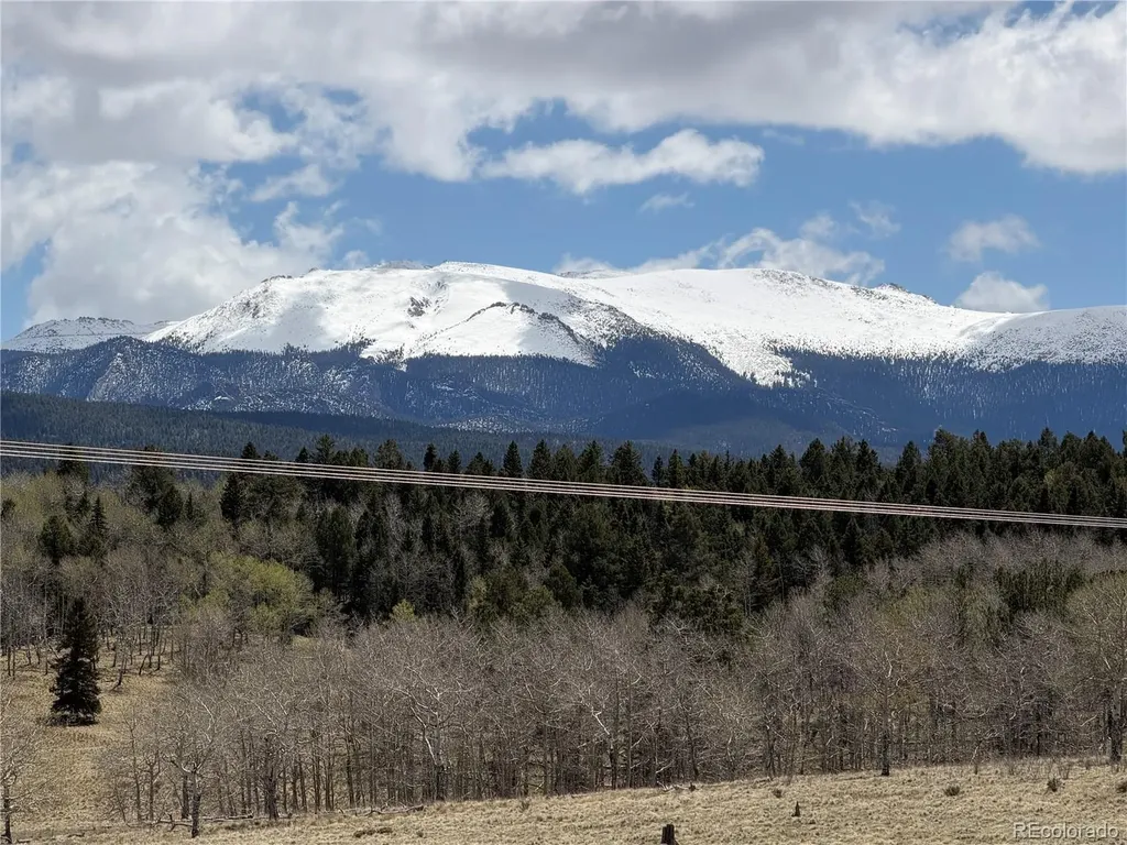 538 Friar Tuck Drive Divide CO 80814