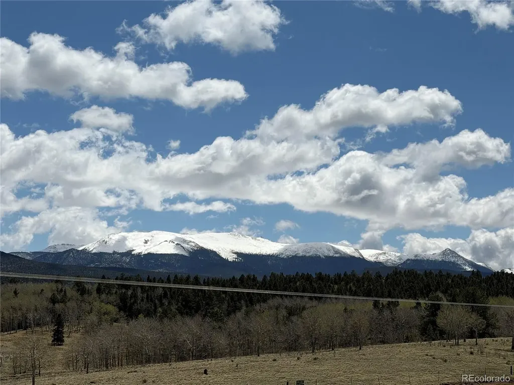 538 Friar Tuck Drive Divide CO 80814