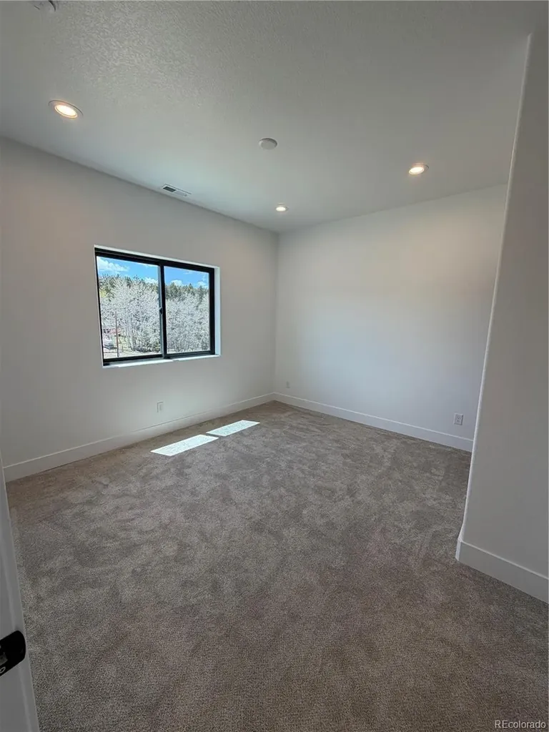 538 Friar Tuck Drive Divide CO 80814