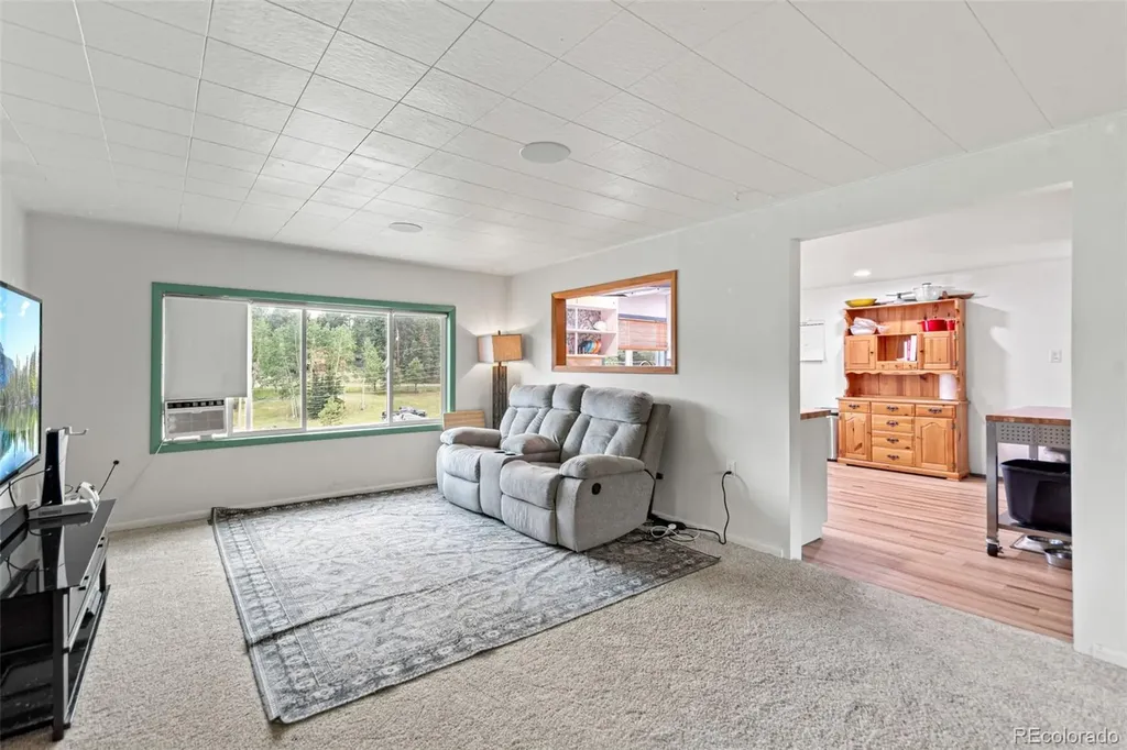 26274 Cornelius Street Conifer CO 80433
