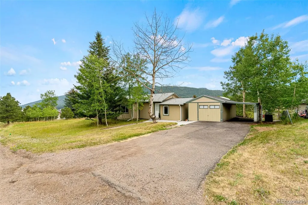 26274 Cornelius Street Conifer CO 80433