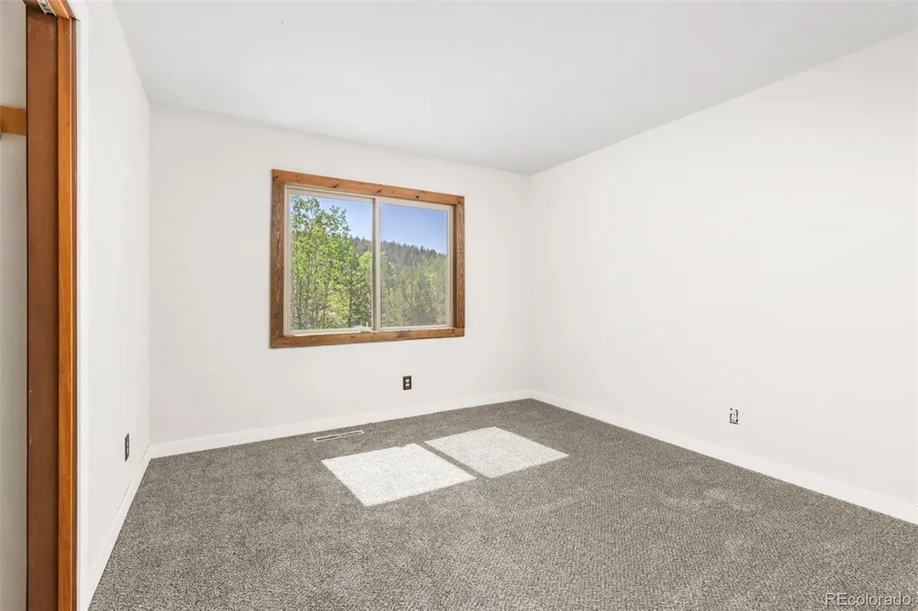 283 Foxtail Drive Black Hawk CO 80422