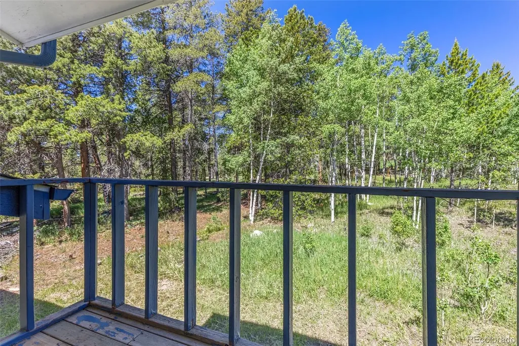 283 Foxtail Drive Black Hawk CO 80422