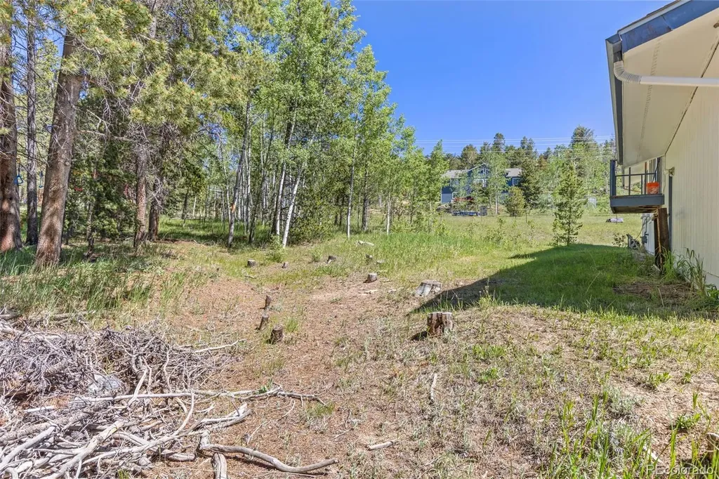 283 Foxtail Drive Black Hawk CO 80422