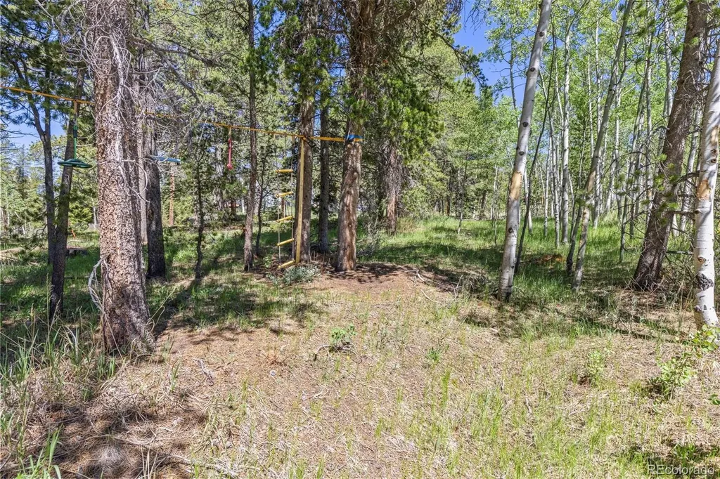 283 Foxtail Drive Black Hawk CO 80422
