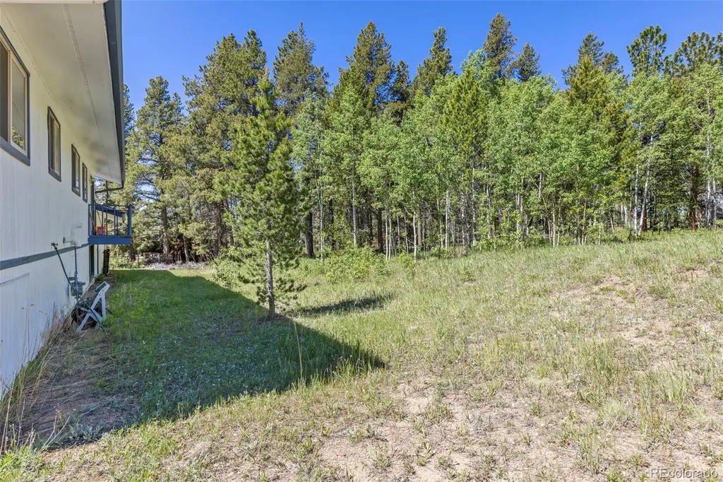 283 Foxtail Drive Black Hawk CO 80422