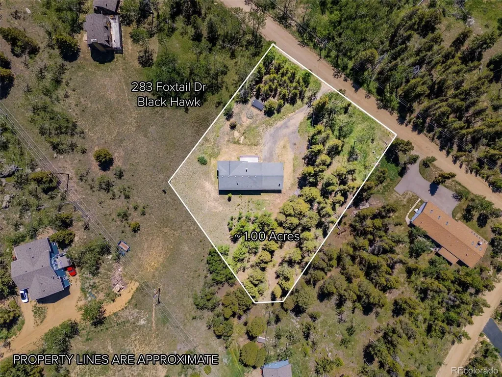 283 Foxtail Drive Black Hawk CO 80422