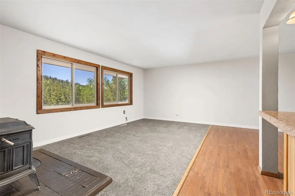 283 Foxtail Drive Black Hawk CO 80422