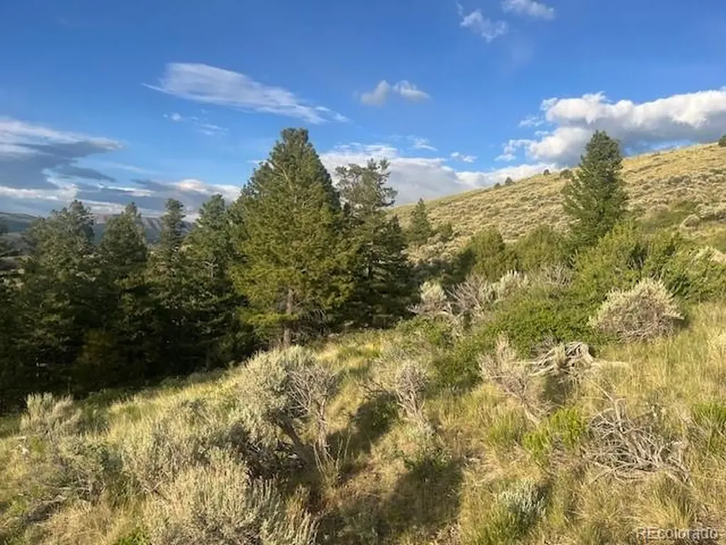 Lot 4630 Spring Road Fort Garland CO 81133