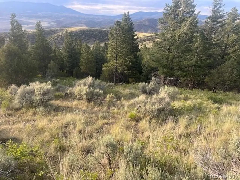 Lot 4630 Spring Road Fort Garland CO 81133