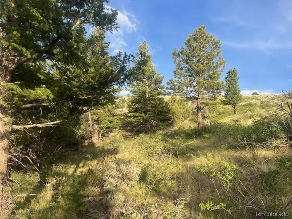 Lot 4630 Spring Road Fort Garland CO 81133
