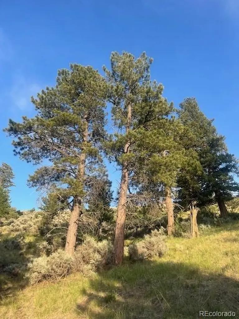 Lot 4630 Spring Road Fort Garland CO 81133