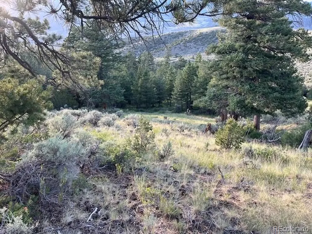 Lot 4630 Spring Road Fort Garland CO 81133