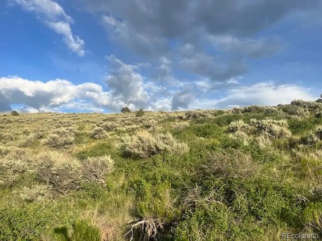 Lot 4630 Spring Road Fort Garland CO 81133