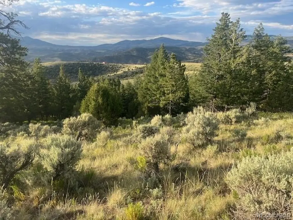 Lot 4630 Spring Road Fort Garland CO 81133
