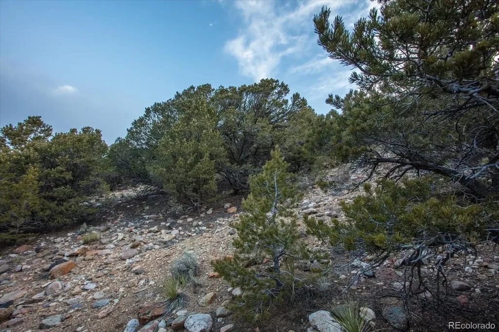 Tract 1 Cozart Lane Salida CO 81201