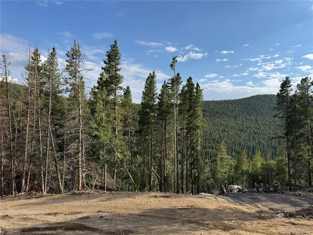000 Loch Lomond Road Idaho Springs CO 80452
