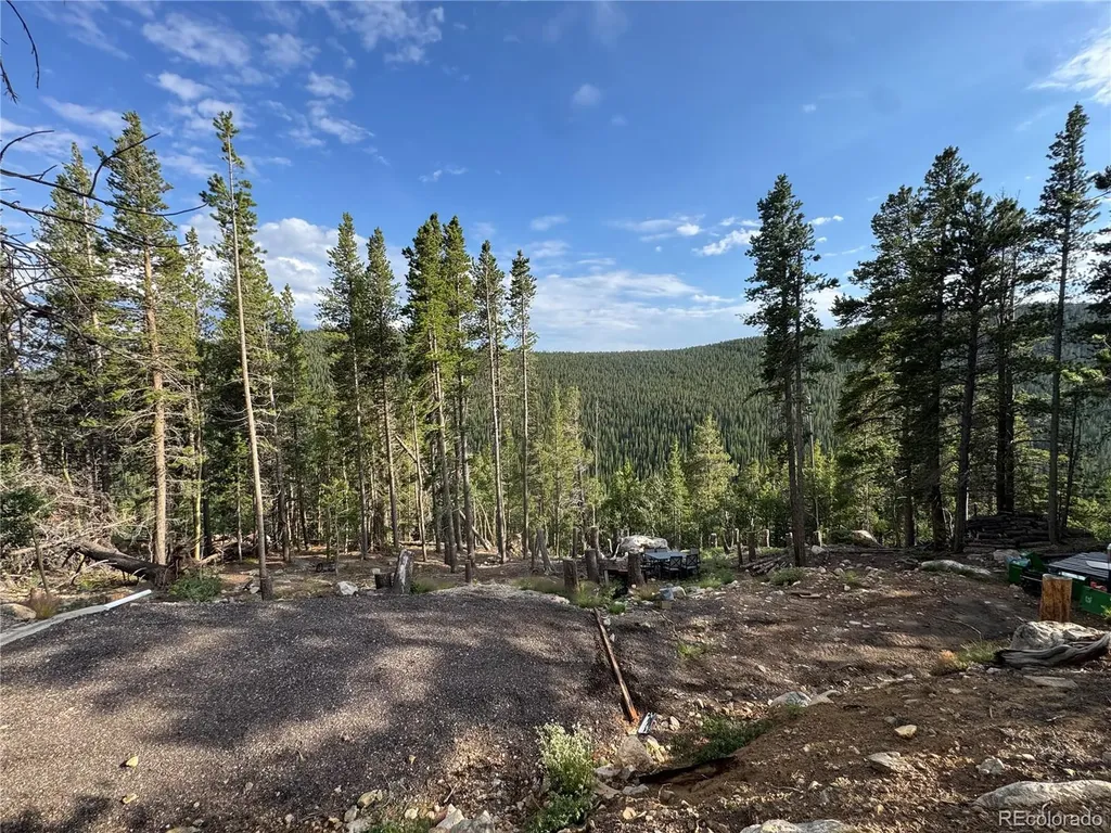000 Loch Lomond Road Idaho Springs CO 80452