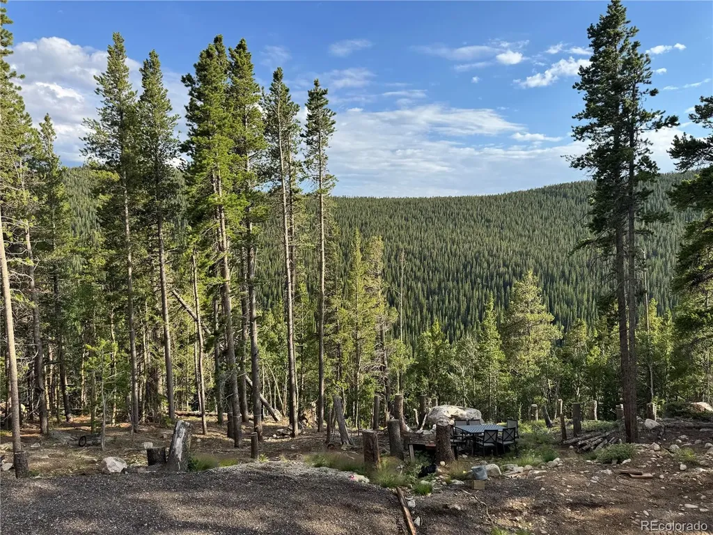 000 Loch Lomond Road Idaho Springs CO 80452