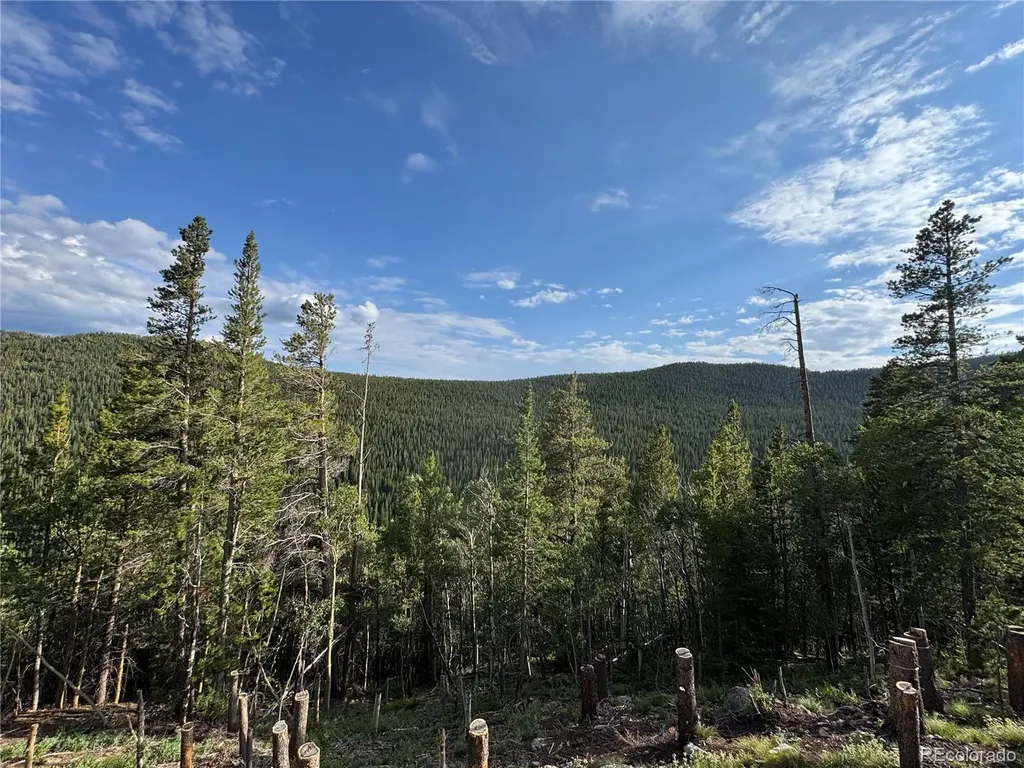 000 Loch Lomond Road Idaho Springs CO 80452