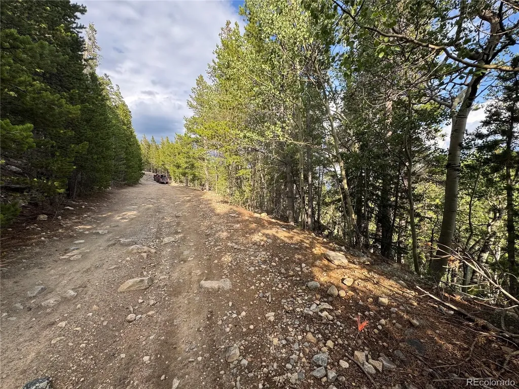 000 Loch Lomond Road Idaho Springs CO 80452