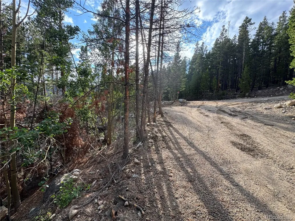 000 Loch Lomond Road Idaho Springs CO 80452