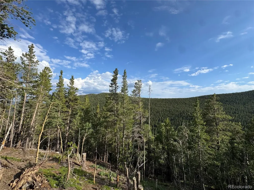 000 Loch Lomond Road Idaho Springs CO 80452