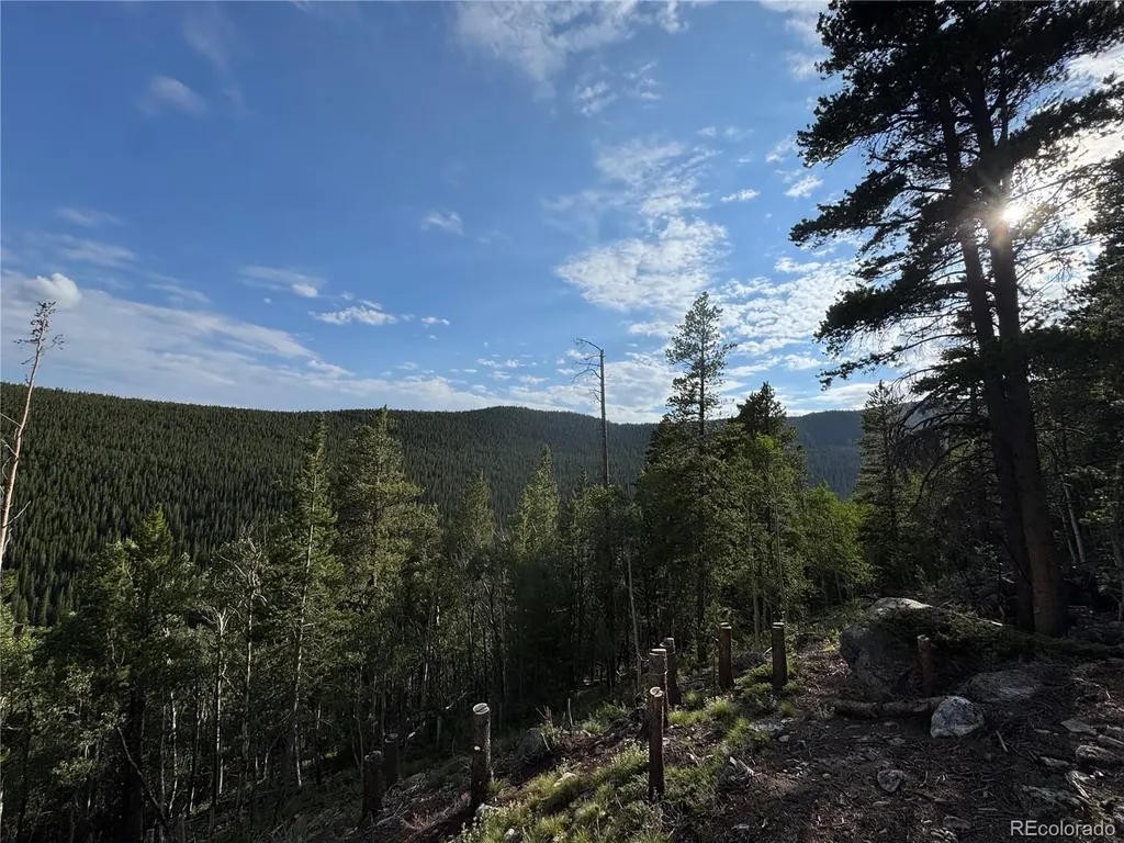 000 Loch Lomond Road Idaho Springs CO 80452