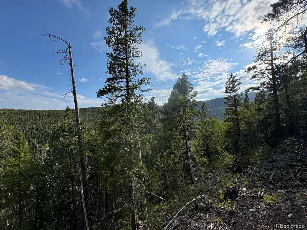 000 Loch Lomond Road Idaho Springs CO 80452