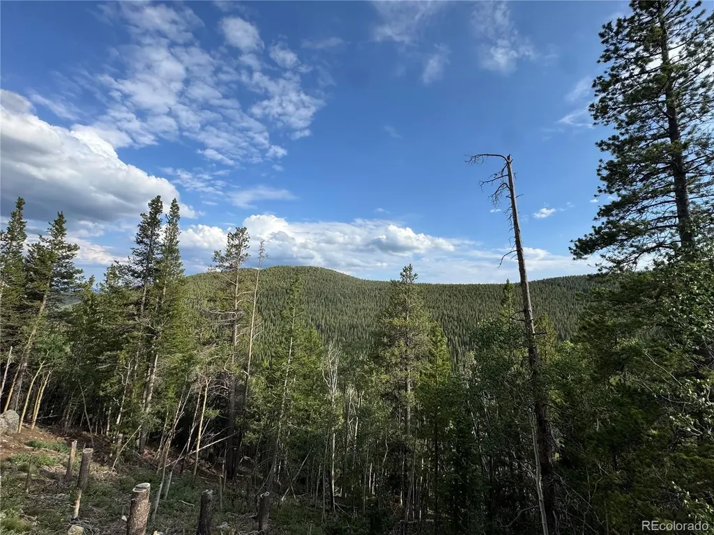 000 Loch Lomond Road Idaho Springs CO 80452