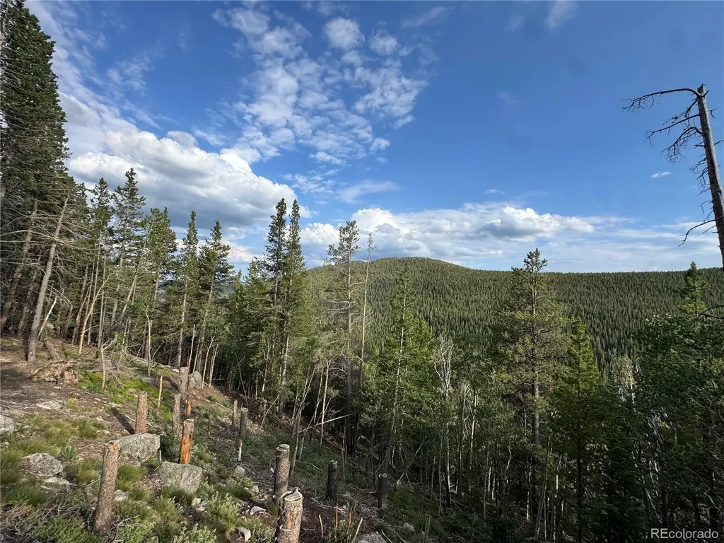 000 Loch Lomond Road Idaho Springs CO 80452