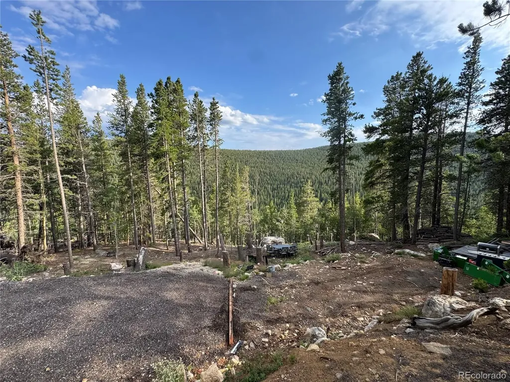 000 Loch Lomond Road Idaho Springs CO 80452