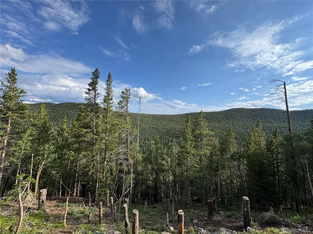 000 Loch Lomond Road Idaho Springs CO 80452