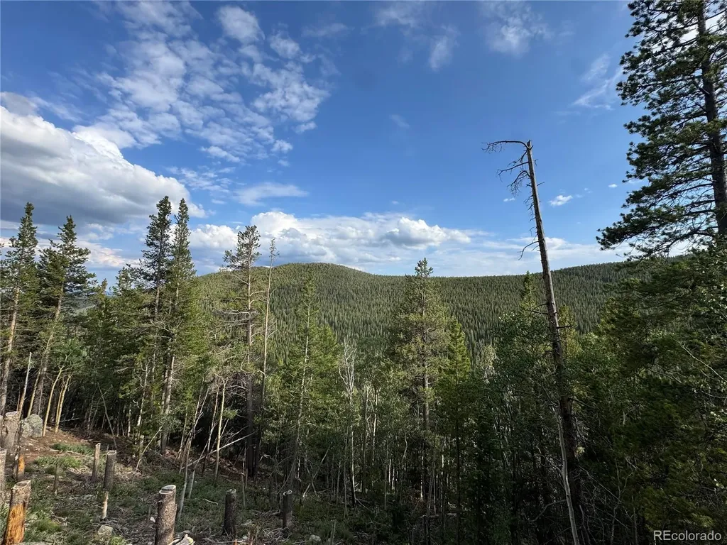 000 Loch Lomond Road Idaho Springs CO 80452
