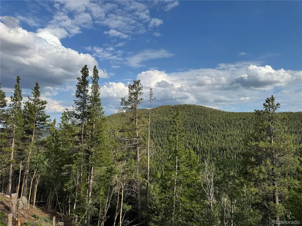 000 Loch Lomond Road Idaho Springs CO 80452