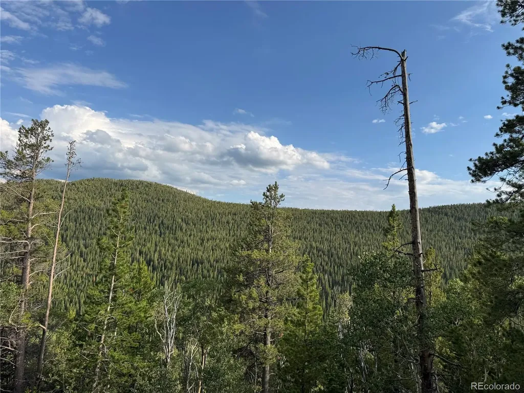 000 Loch Lomond Road Idaho Springs CO 80452