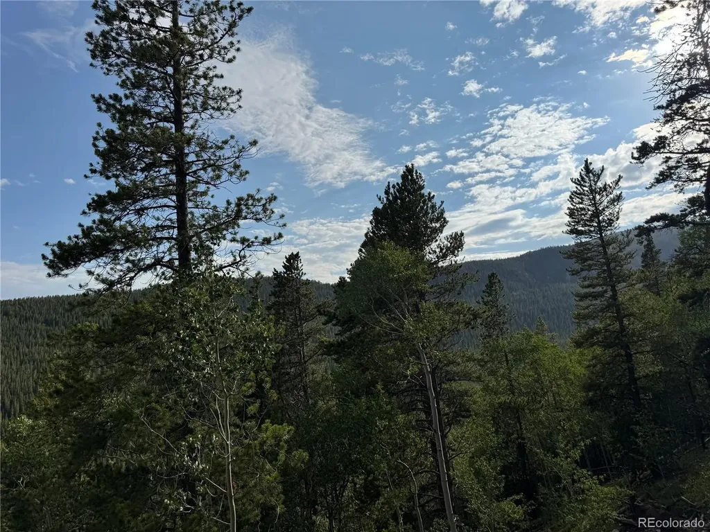 000 Loch Lomond Road Idaho Springs CO 80452