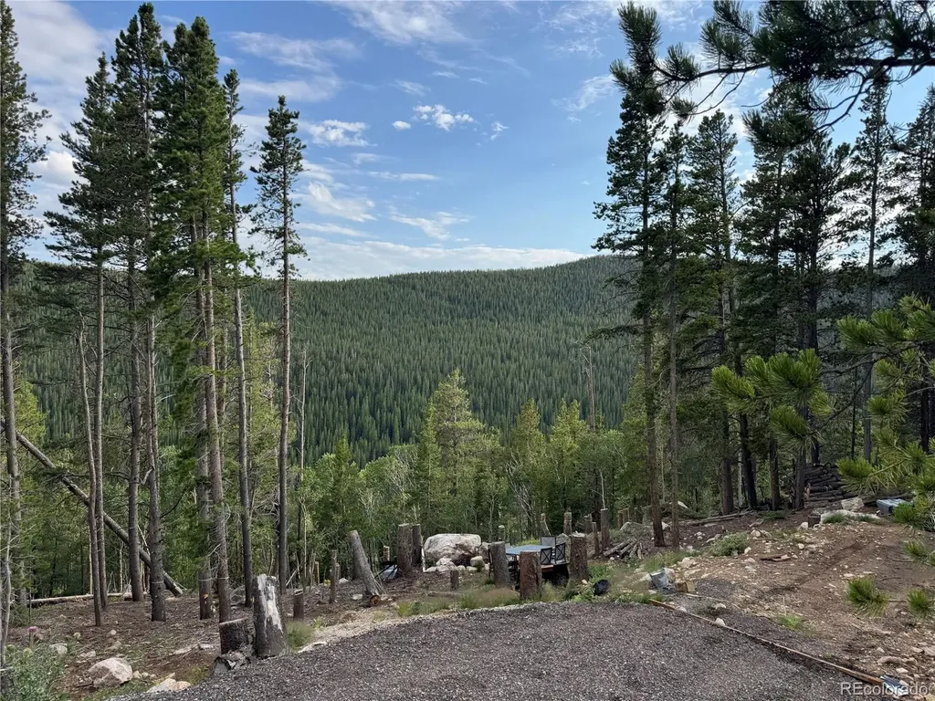 000 Loch Lomond Road Idaho Springs CO 80452
