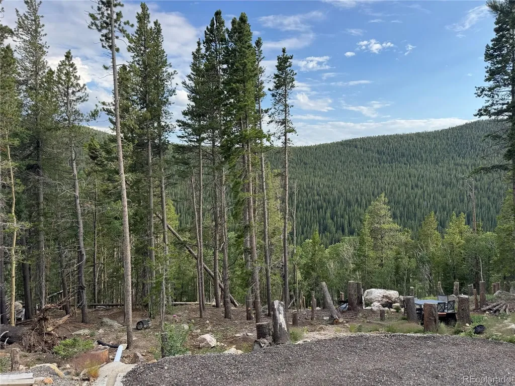 000 Loch Lomond Road Idaho Springs CO 80452