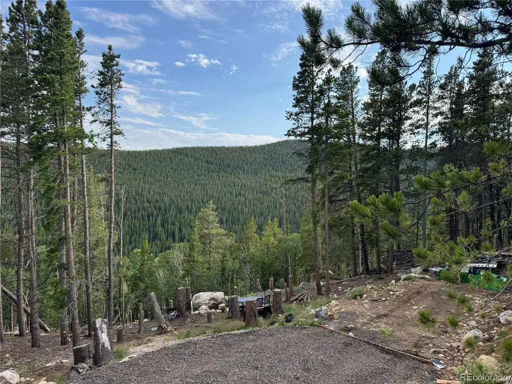 000 Loch Lomond Road Idaho Springs CO 80452