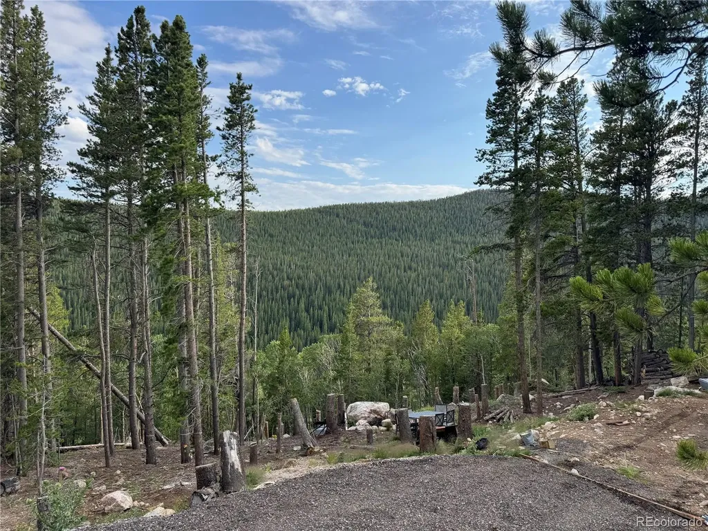 000 Loch Lomond Road Idaho Springs CO 80452