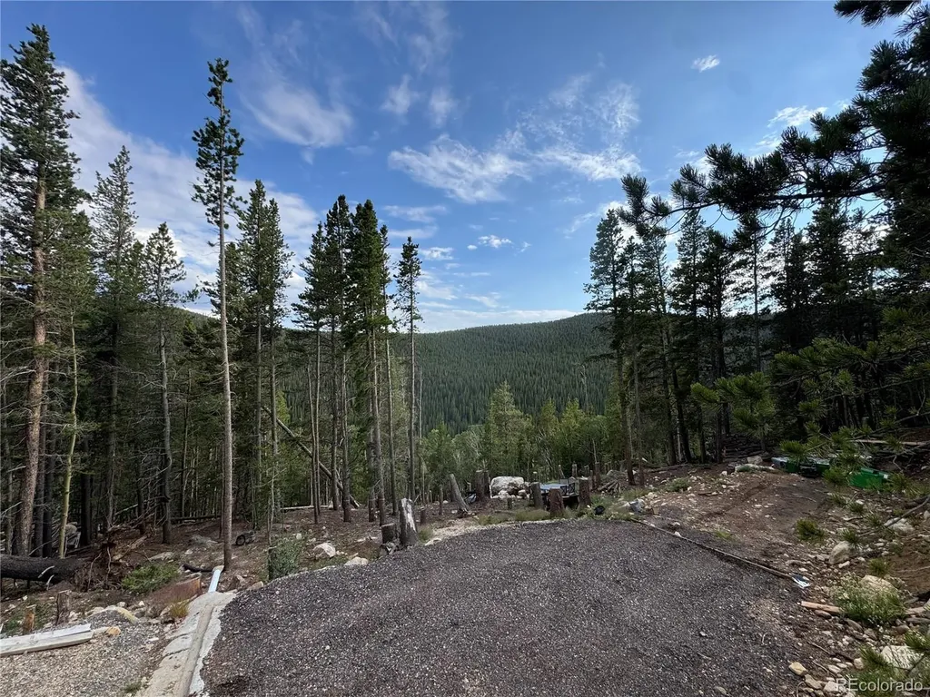 000 Loch Lomond Road Idaho Springs CO 80452