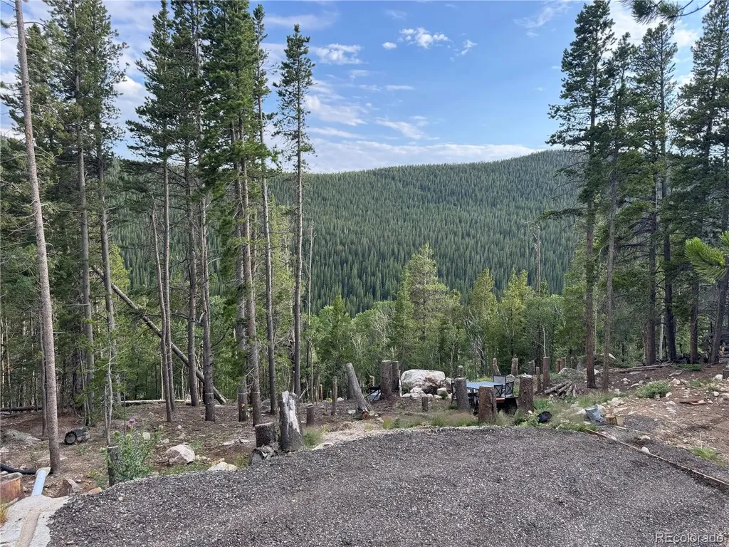 000 Loch Lomond Road Idaho Springs CO 80452
