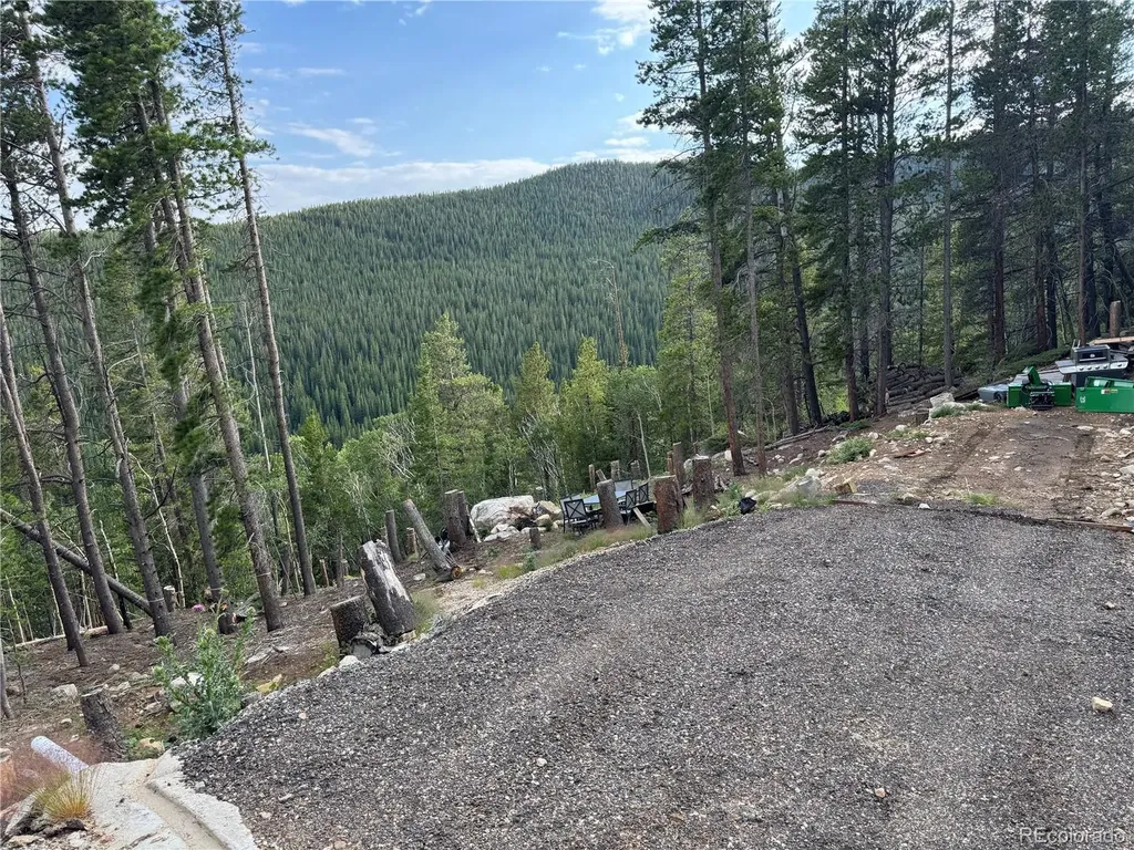 000 Loch Lomond Road Idaho Springs CO 80452