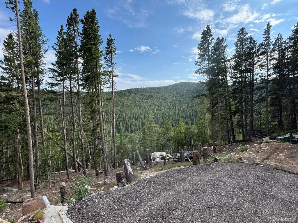 000 Loch Lomond Road Idaho Springs CO 80452