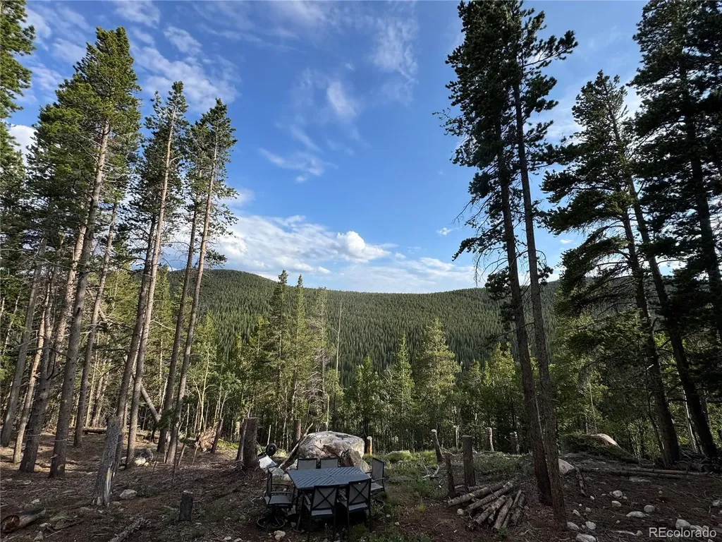 000 Loch Lomond Road Idaho Springs CO 80452