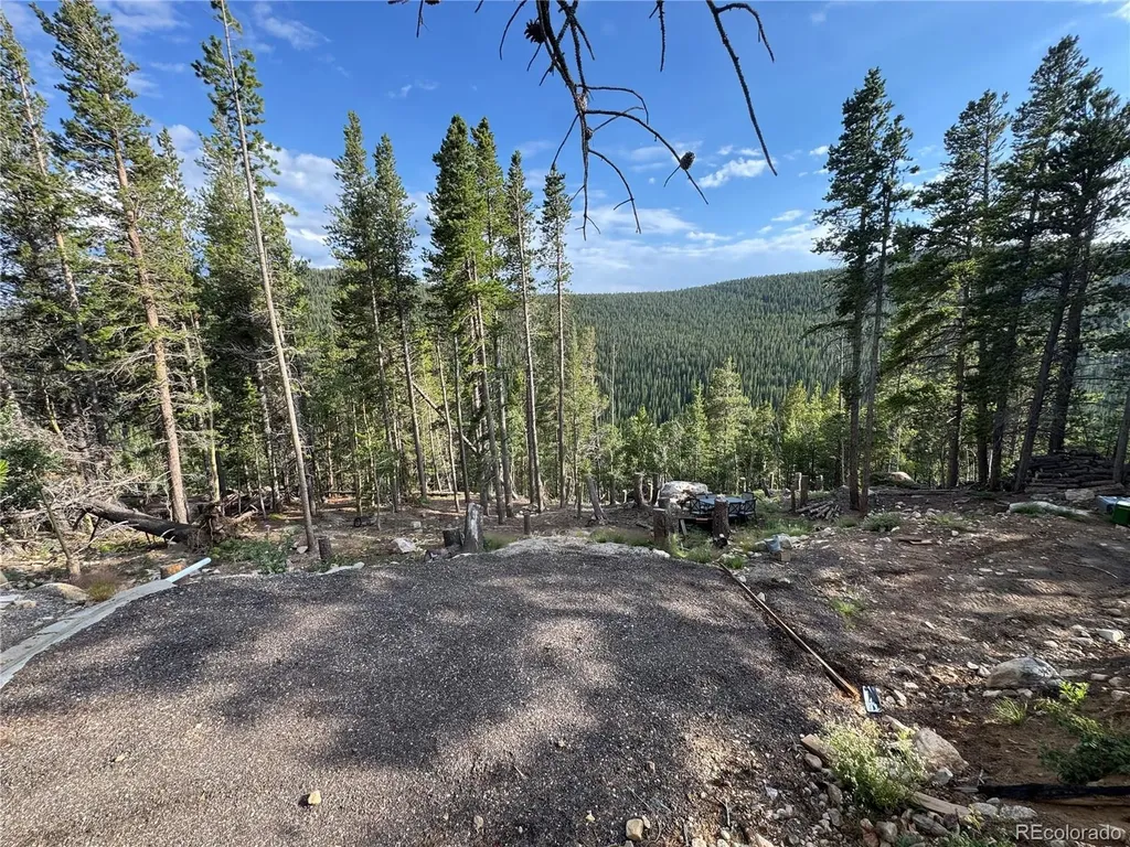 000 Loch Lomond Road Idaho Springs CO 80452