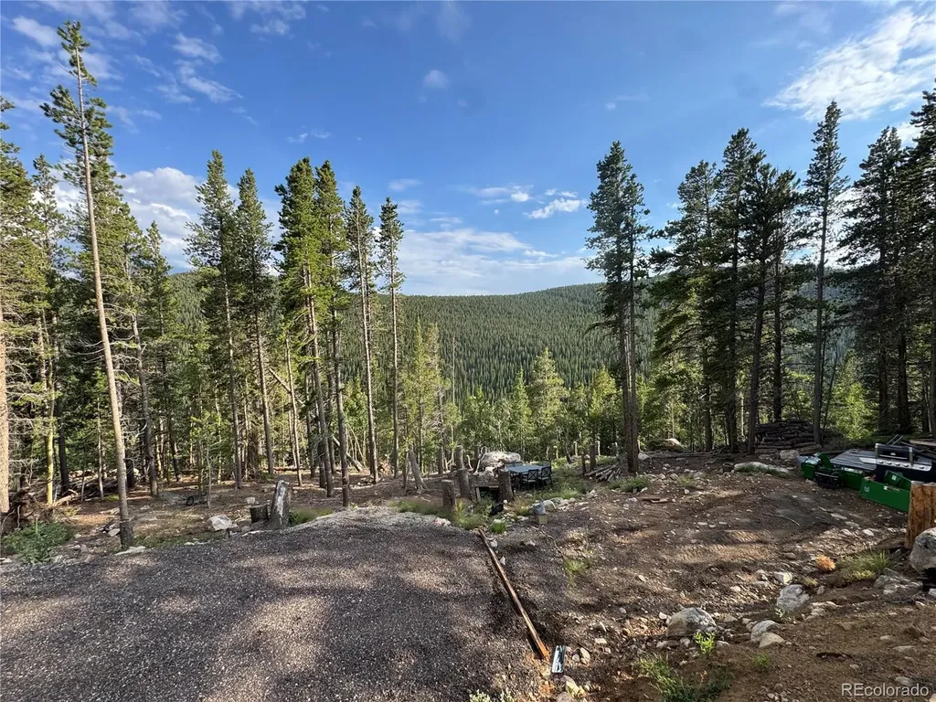 000 Loch Lomond Road Idaho Springs CO 80452