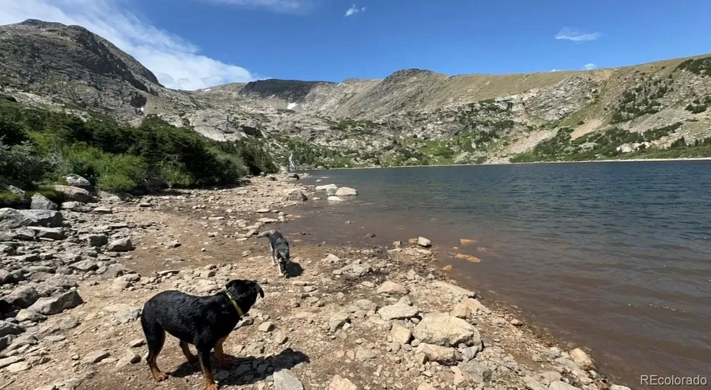 000 Loch Lomond Road Idaho Springs CO 80452